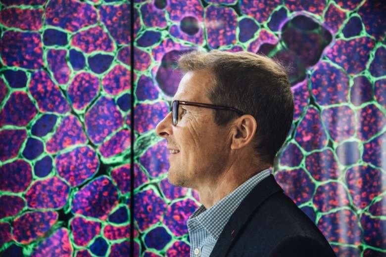 Pictures taken by Aiforia™ can look like artwork. Kari Pitkänen stands in front of a picture of a fluorescent dyed rat’s muscle tissue.